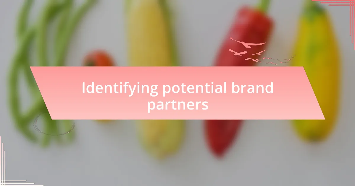 Identifying potential brand partners