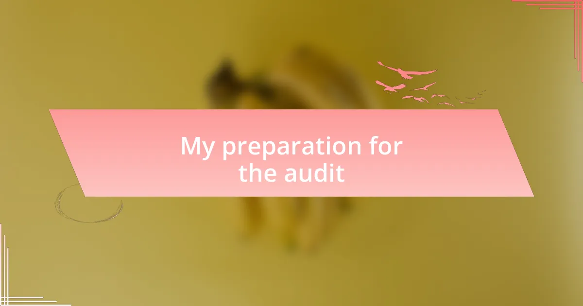 My preparation for the audit