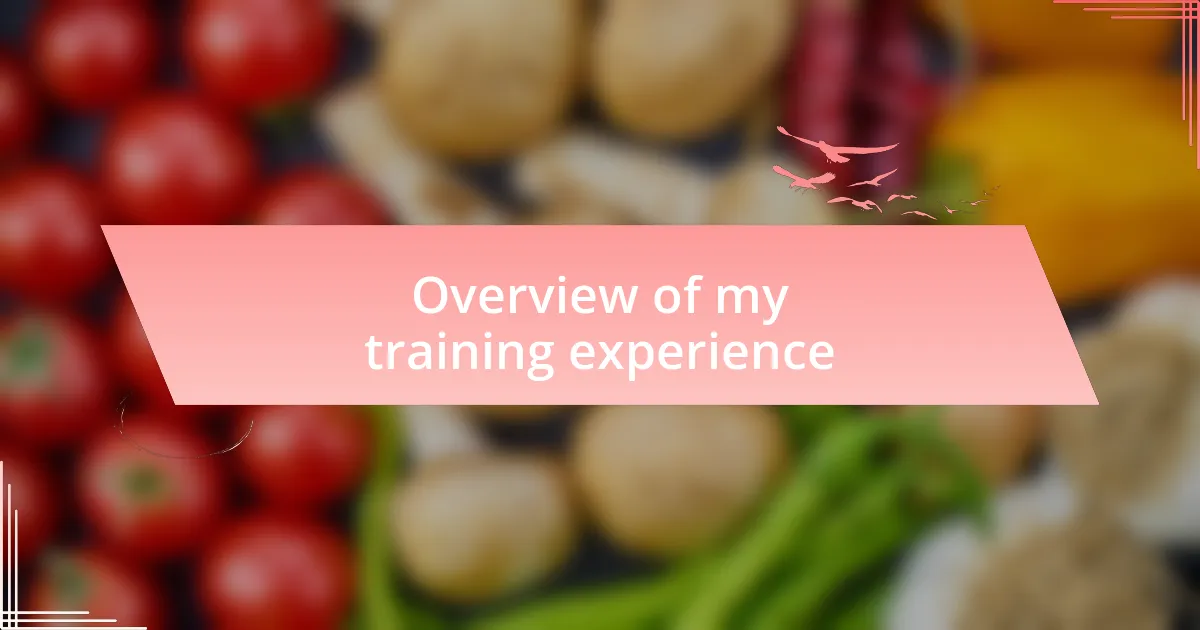 Overview of my training experience